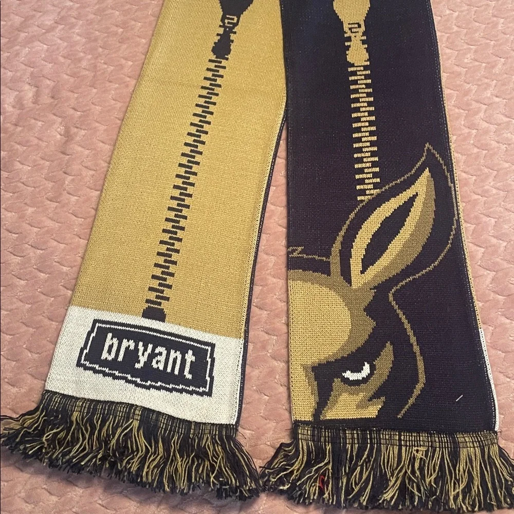 🌸NWT Akron Zips Soccer Scarf - OSFM
